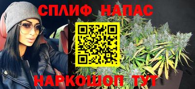 дживик Пенза