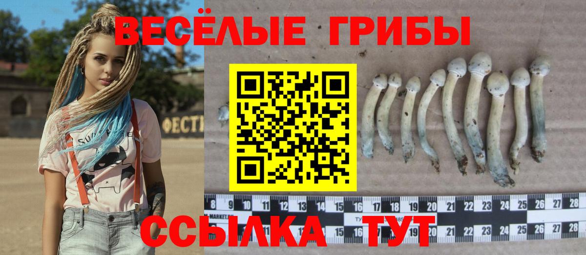 Псилоцибиновые грибы Cubensis  Вход с VPN  Сатка  Псилоцибиновые грибы Cubensis 